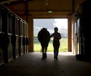 news and recent work