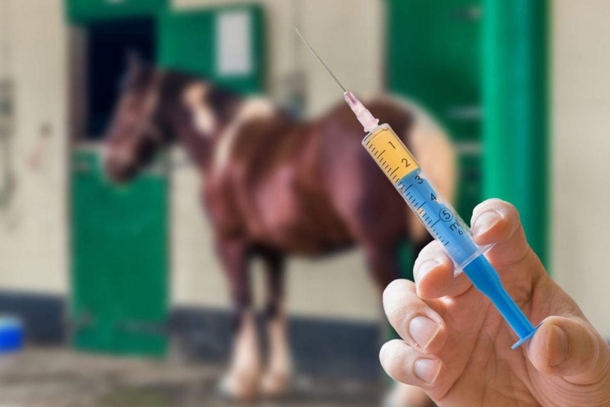 Doping Doping