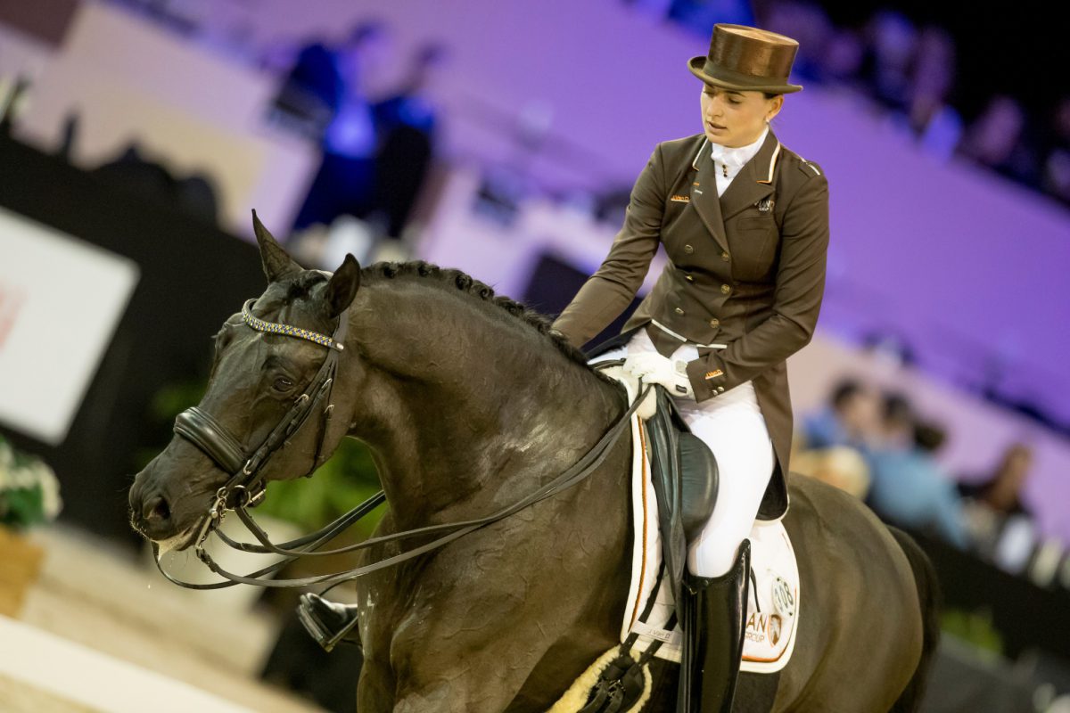 Logutenkova Inna, (UKR), Don Gregorius
Jumping Indoor Maastricht 2016
© Hippo Foto - Dirk Caremans
12/11/2016