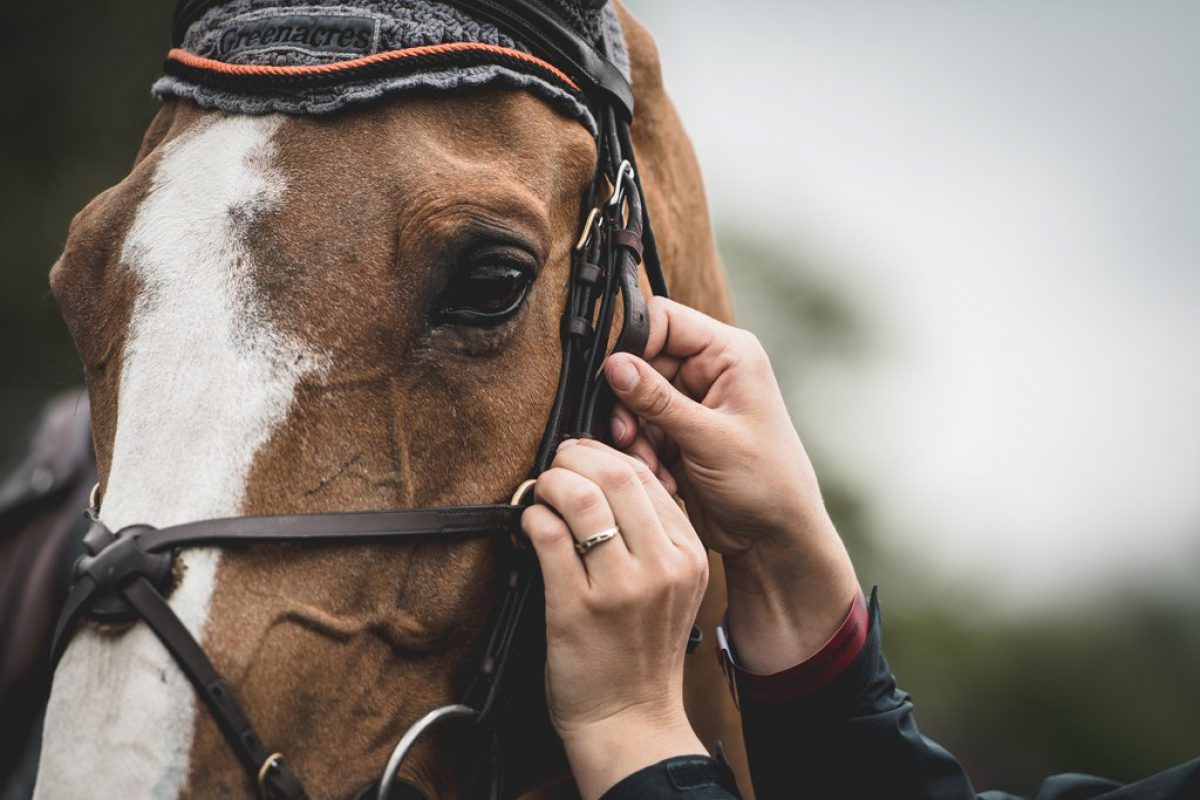 Royal Windsor 2019