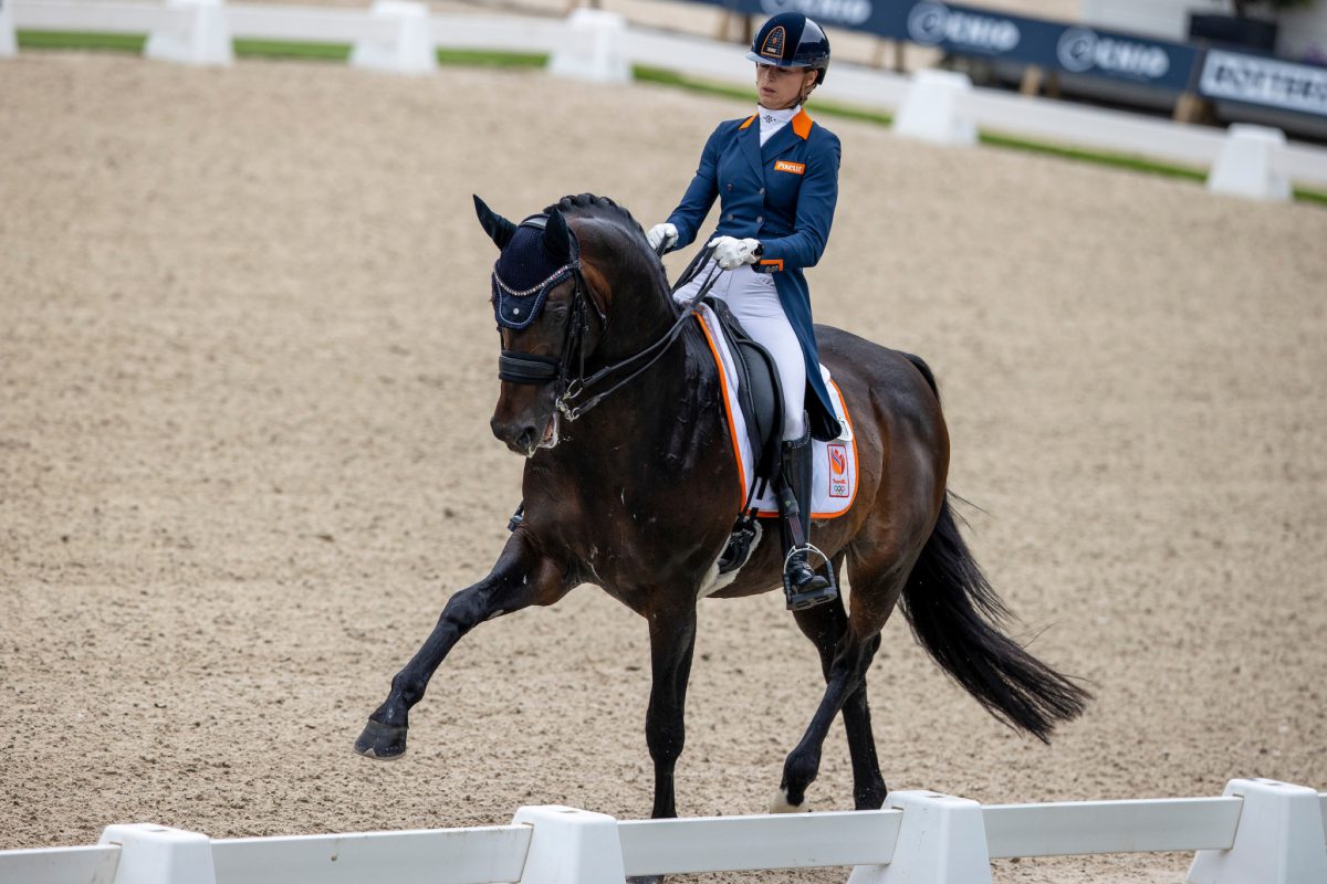 Van Liere Dinja, NED, Hermès
CHIO Rotterdam 2021
© Hippo Foto - Dirk Caremans
 03/07/2021