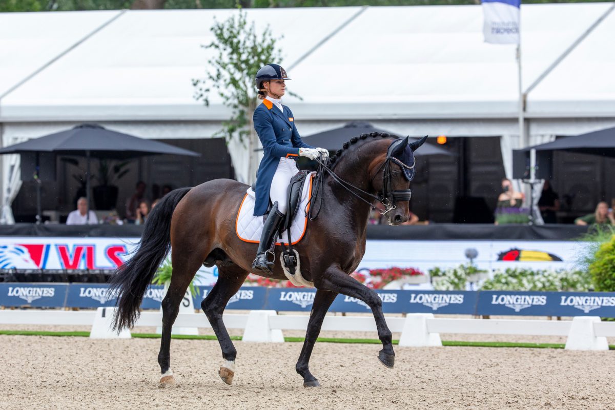 Van Liere Dinja, NED, Hermes
CHIO Rotterdam 2021
© Hippo Foto - Sharon Vandeput
3/07/21